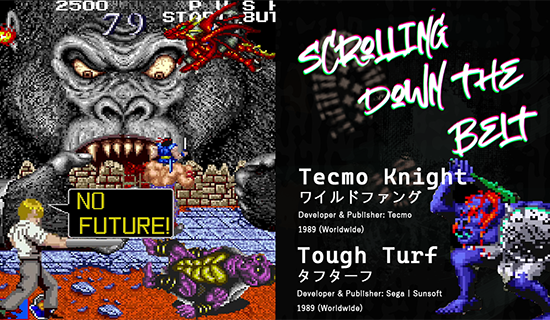 The giant gorilla from Tecmo Knight/Wild Fang facing off agains tthe hero. Also there's an image of the main character from Tough Turf swinging a bat at a turtle enemy from Tecmo Knight and saying "No Future!"